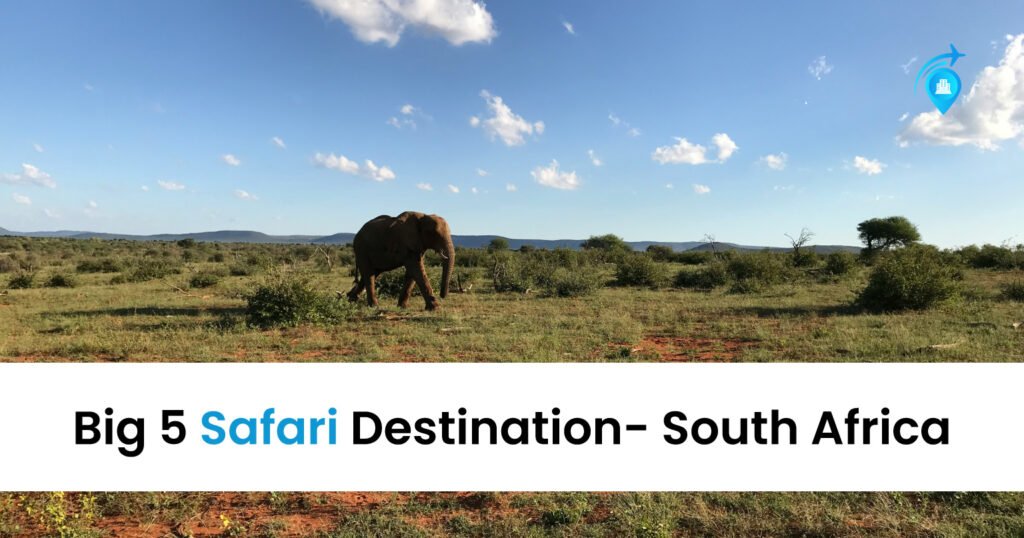 5 Big Safari Destination-Gems Of South Africa